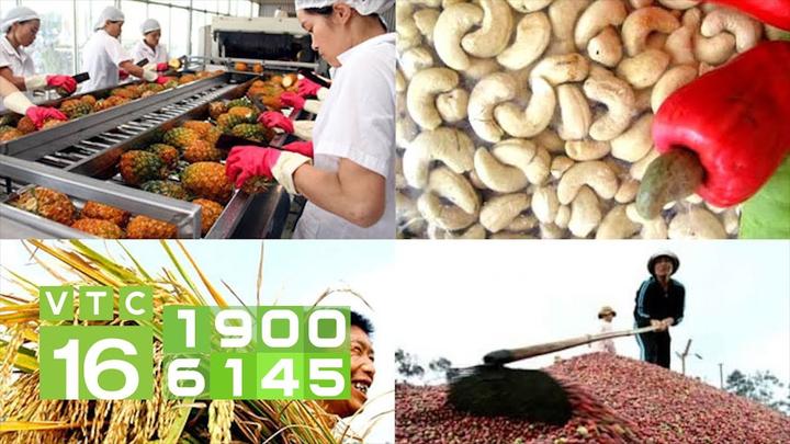 Hotspot Matrix: Văn hóa & Môi trường Làm Việc Tích Cực