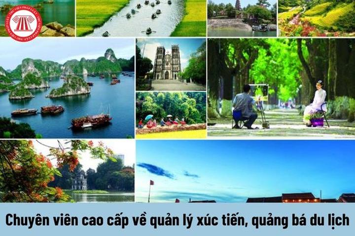 Xây dựng Thương hiệu Cá nhân và Kiếm Tiền với Hotspot Matrix