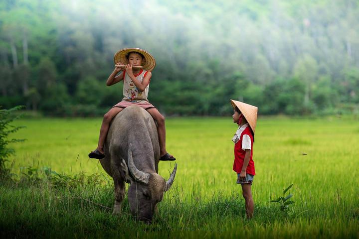 Cơ hội Vàng: Đầu tư An toàn vào Thị trường Video Ngắn cùng Hotspot Matrix