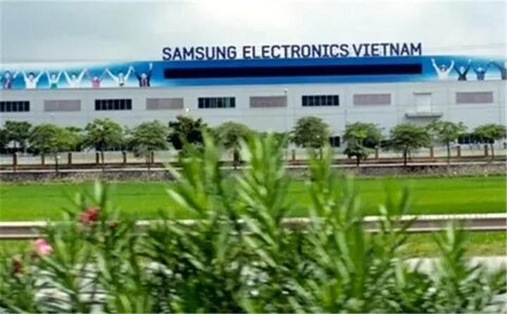 Kích thước to bất thường: Tôm nuôi theo phương pháp tự nhiên sẽ có kích thước không
