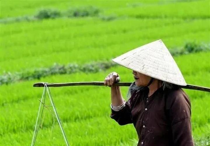 Phòng chật đến đâu giường ngủ - Cảm hứng video marketing từ Hotspot Matrix
