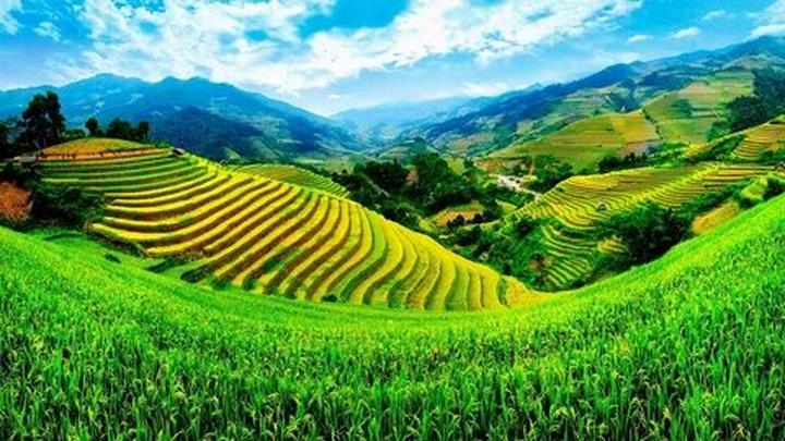 Chiến Thắng Marketing: Hotspot Matrix và Phương Pháp Video Ngắn
